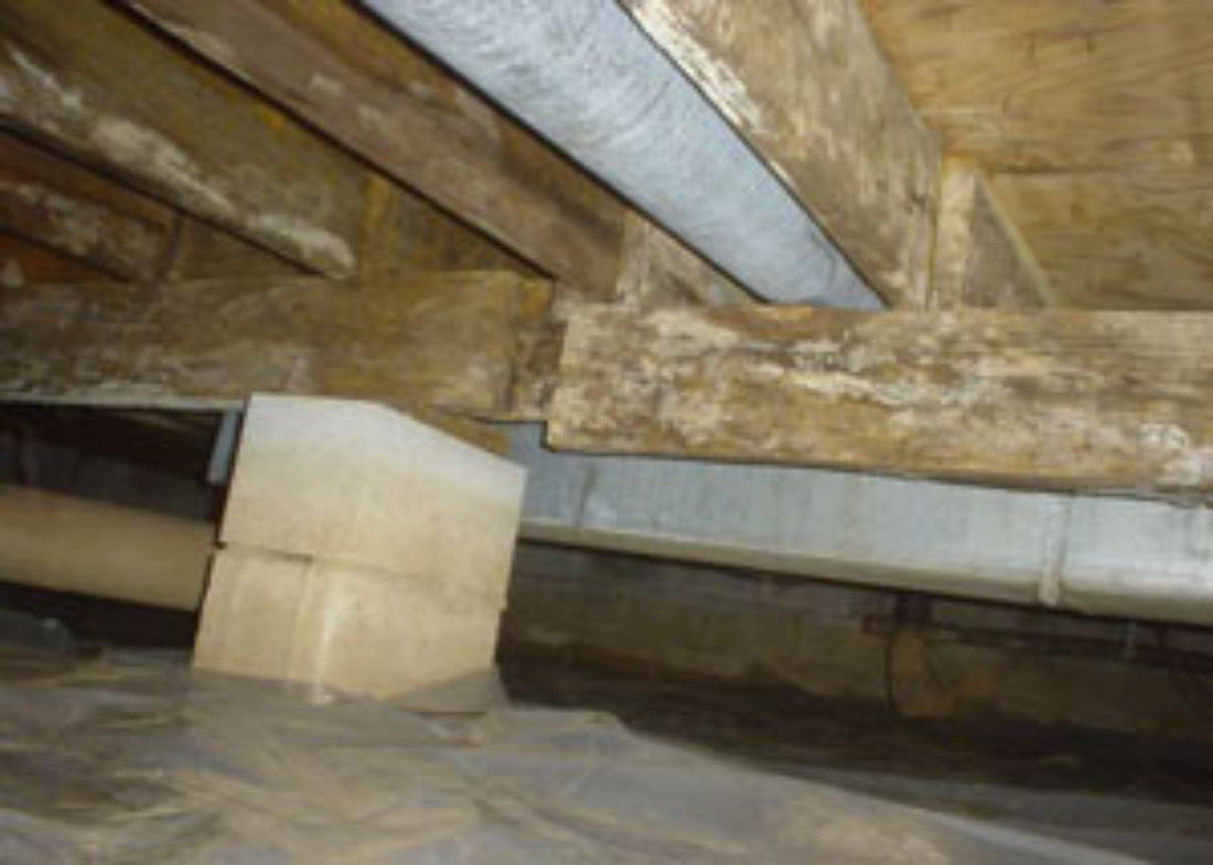 Curated visual reference: Picture Idea: Crawl Space Encapsulation